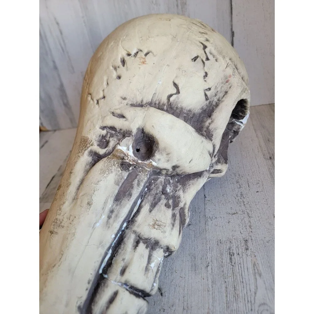 Skull large foam AS IS head Halloween prop home decor bowl unique‎